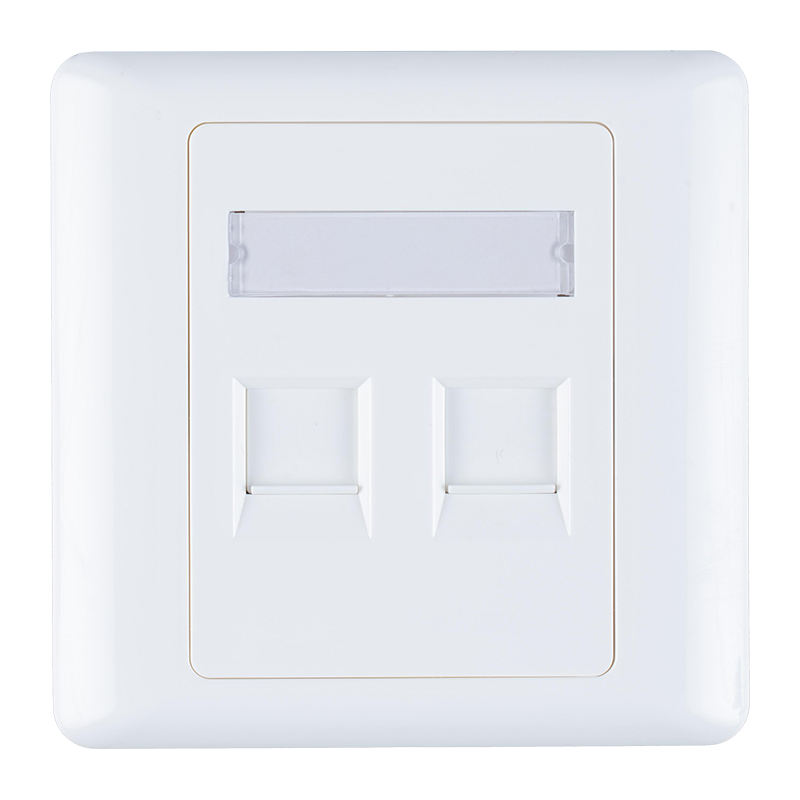 86-Typ-Zwei-Port-Panel SW-4301AP-86-2P